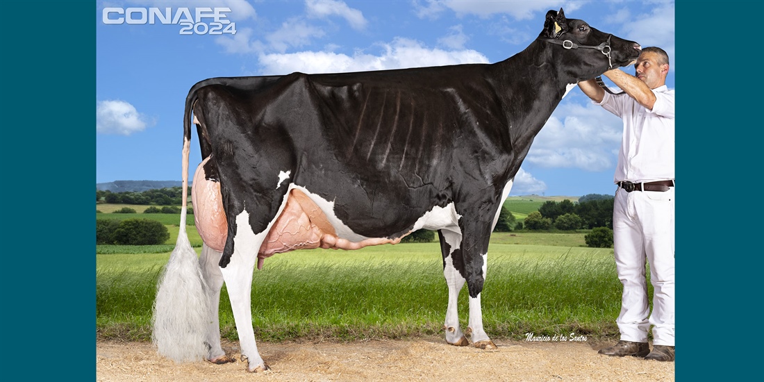 Fotos oficiales del 44 Concurso Nacional de la Raza Frisona CONAFE 2024
