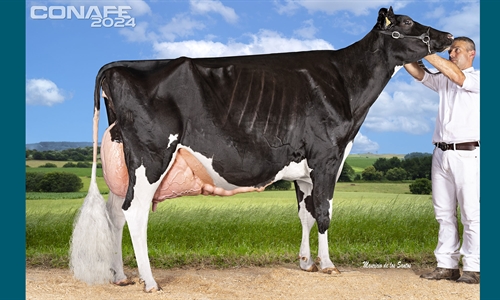 Fotos oficiales del 44 Concurso Nacional de la Raza Frisona CONAFE 2024