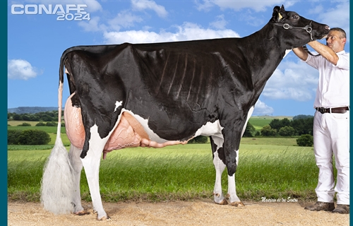 Fotos oficiales del 44 Concurso Nacional de la Raza Frisona CONAFE 2024