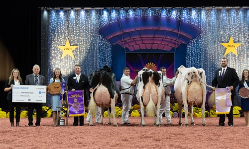 Jeffrey-Way Hard Rock Twigs, Vaca Gran Campeona de Madison 2024 en...