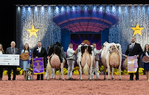 Jeffrey-Way Hard Rock Twigs, Vaca Gran Campeona de Madison 2024 en...
