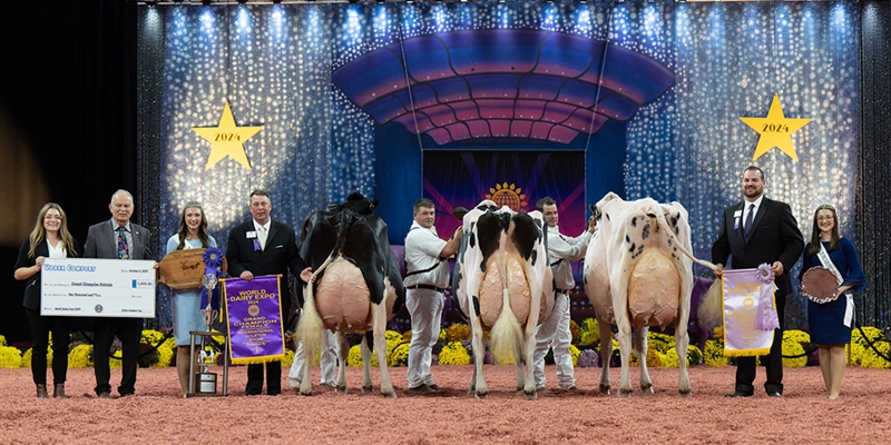 Jeffrey-Way Hard Rock Twigs, Vaca Gran Campeona de Madison 2024 en categora holstein