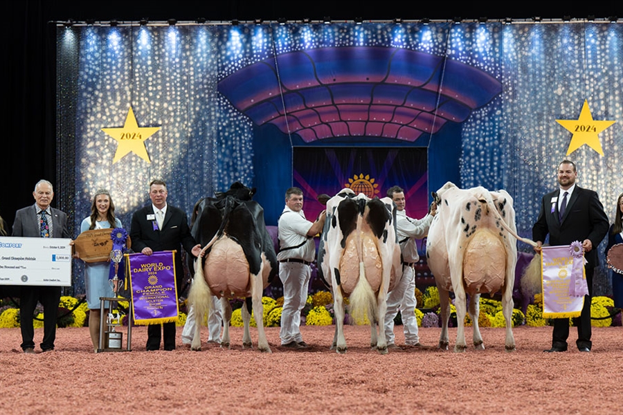 Jeffrey-Way Hard Rock Twigs, Vaca Gran Campeona de Madison 2024 en...