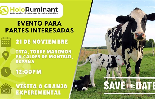 HoloRuminant: Microbiota y crecimiento de los terneros, las...