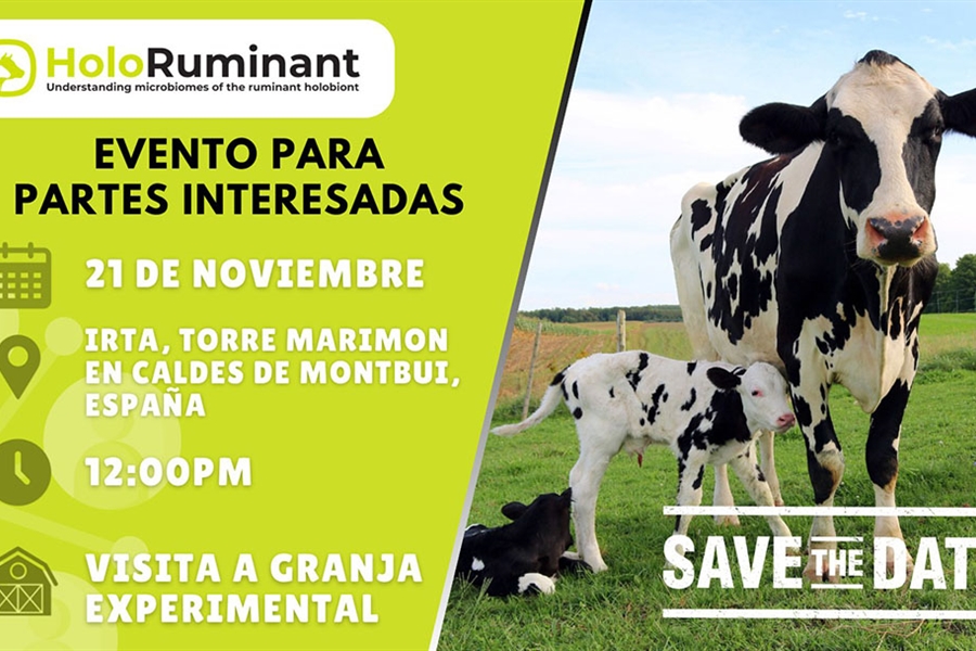 HoloRuminant: Microbiota y crecimiento de los terneros, las...