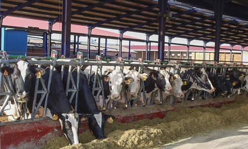 UPA vaticina un descenso de la produccin de leche en lo que resta de 2024