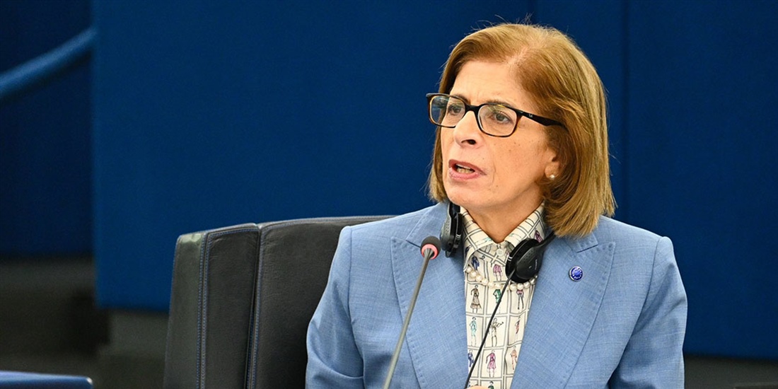 La Unin Europea no puede financiar medidas para erradicar la lengua azul