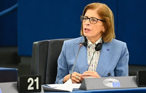 La Unin Europea no puede financiar medidas para erradicar la lengua azul