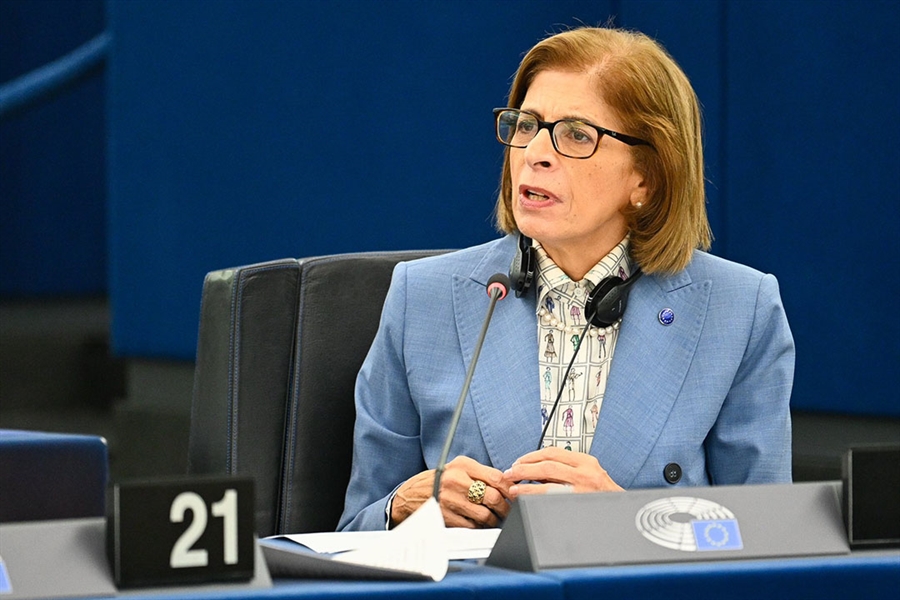La Unin Europea no puede financiar medidas para erradicar la lengua azul