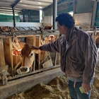 CLUN mantendr su colaboracin con la ONG Ecos del Sur para formar y contratar a personas migrantes en granjas de leche gallegas