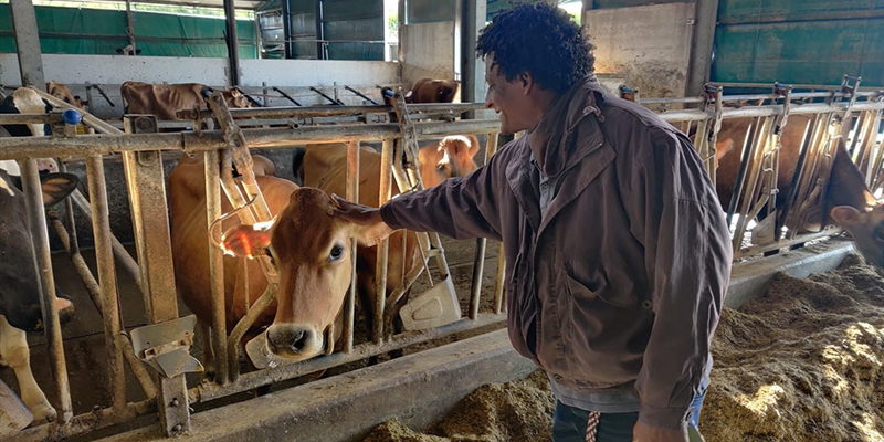 CLUN mantendr su colaboracin con la ONG Ecos del Sur para formar y contratar a personas migrantes en granjas de leche gallegas