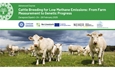 Curso sobre seleccin gentica para reducir emisiones procedentes de rumiantes