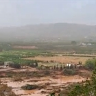 Agricultores y ganaderos, desolados por el desastre humano y material causado por la DANA