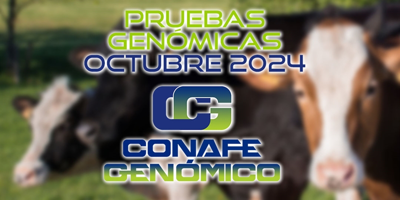 Actualizacin de las pruebas genmicas de Hembras CONAFE Octubre 2024
