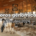 Nuevos toros genmicos con Prueba Oficial: Evaluacin genmica de octubre 2024