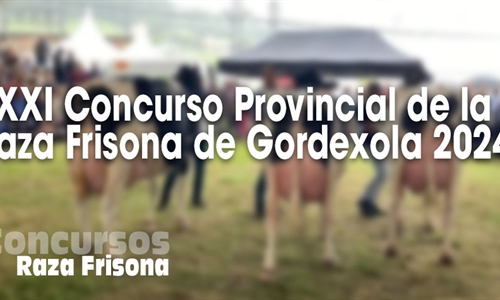 XXI Concurso Provincial de la Raza Frisona de Gordexola 2024