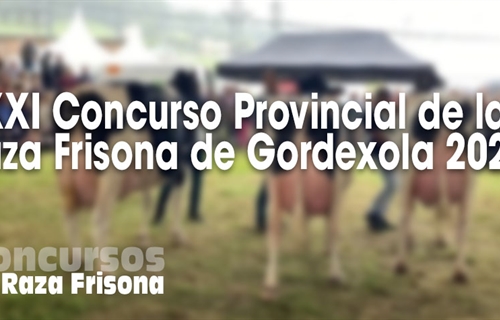 XXI Concurso Provincial de la Raza Frisona de Gordexola 2024