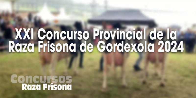 XXI Concurso Provincial de la Raza Frisona de Gordexola 2024