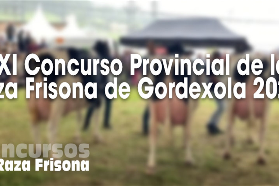 XXI Concurso Provincial de la Raza Frisona de Gordexola 2024