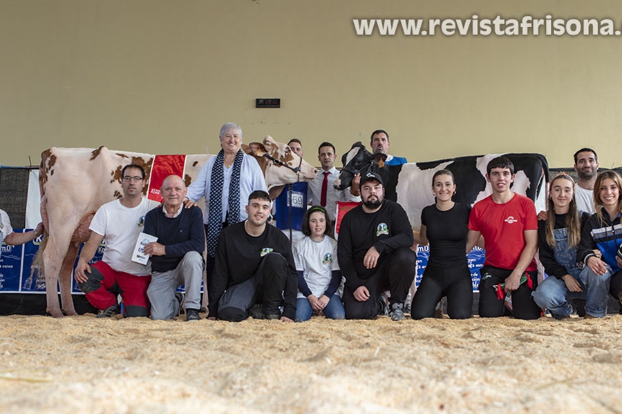 Sarobefarm Warrior Izane Roja (Ardeo), Vaca Gran Campeona de Euskal...