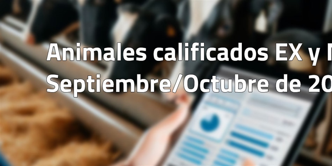 Animales calificados EX y MB en septiembre y octubre de 2024