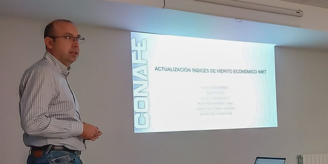 Se presentan los nuevos IMT 2024 y el proyecto GO_Inmunogen