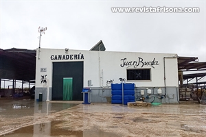 Ganadera Rueda, un modelo de eficiencia ganadera desde la  Campia sevillana
