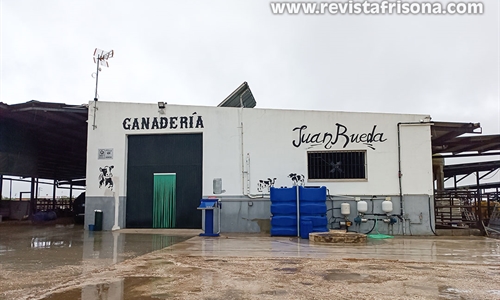Ganadera Rueda, un modelo de eficiencia ganadera desde la  Campia...