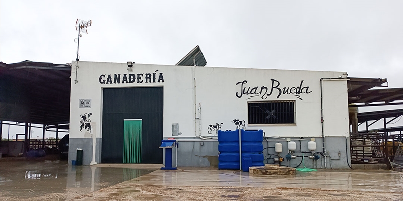 Ganadera Rueda, un modelo de eficiencia ganadera desde la  Campia sevillana