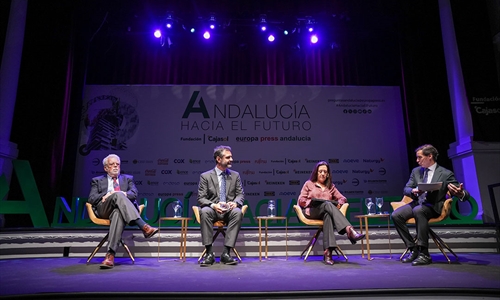 Andaluca articular ayudas para los problemas econmicos de los...