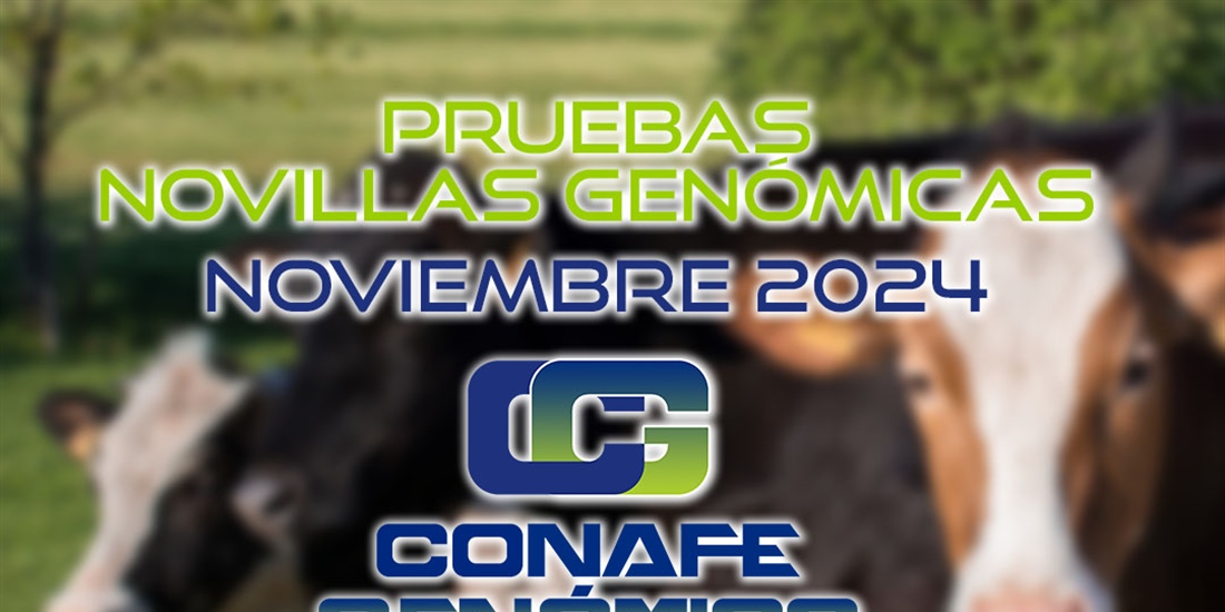 Actualizacin de las pruebas genmicas de Hembras CONAFE Noviembre 2024