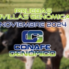 Actualizacin de las pruebas genmicas de Hembras CONAFE Noviembre 2024