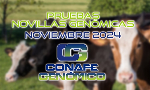 Actualizacin de las pruebas genmicas de Hembras CONAFE Noviembre 2024