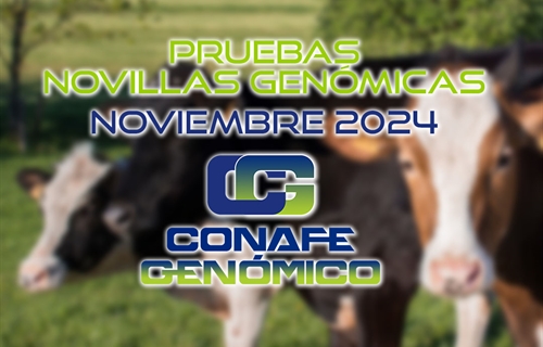 Actualizacin de las pruebas genmicas de Hembras CONAFE Noviembre 2024