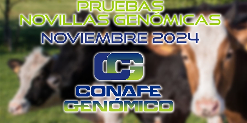 Actualizacin de las pruebas genmicas de Hembras CONAFE Noviembre 2024