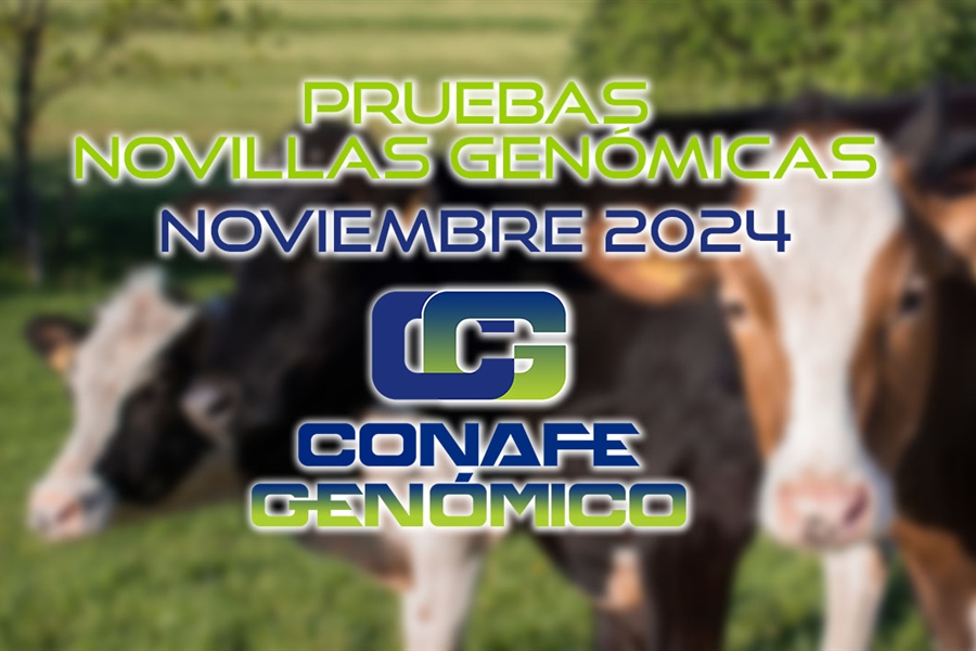 Actualizacin de las pruebas genmicas de Hembras CONAFE Noviembre 2024