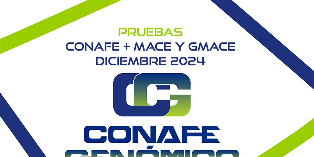 Nuevas pruebas CONAFE + MACE y GMACE Diciembre 2024