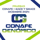Nuevas pruebas CONAFE + MACE y GMACE Diciembre 2024