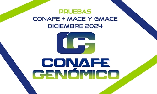 Nuevas pruebas CONAFE + MACE y GMACE Diciembre 2024