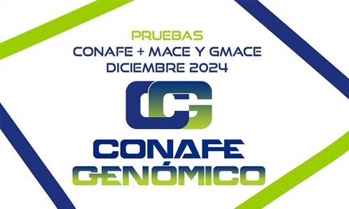Nuevas pruebas CONAFE + MACE y GMACE Diciembre 2024