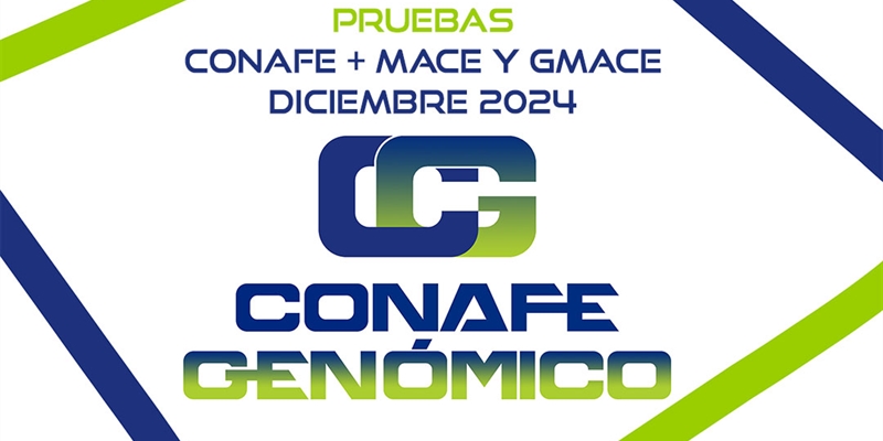 Nuevas pruebas CONAFE + MACE y GMACE Diciembre 2024