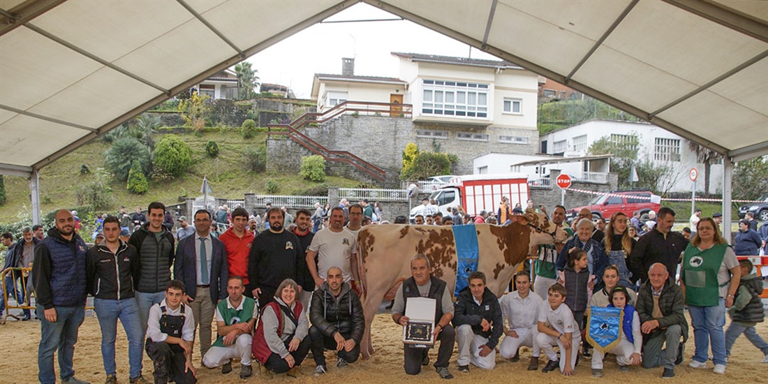Sarobefarm Warrior Izane Roja (Ardeo), Vaca Gran Campeona de Gordexola 2024