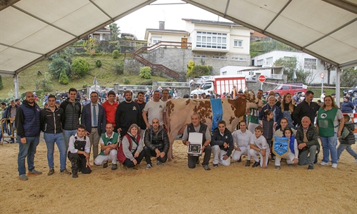 Sarobefarm Warrior Izane Roja (Ardeo), Vaca Gran Campeona de Gordexola 2024