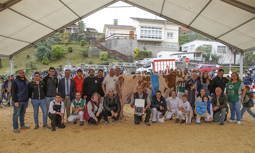 Sarobefarm Warrior Izane Roja (Ardeo), Vaca Gran Campeona de Gordexola 2024