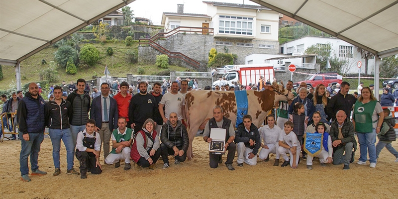 Sarobefarm Warrior Izane Roja (Ardeo), Vaca Gran Campeona de Gordexola 2024