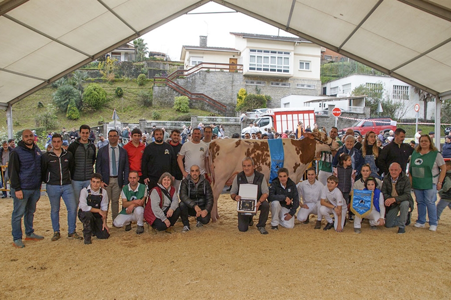 Sarobefarm Warrior Izane Roja (Ardeo), Vaca Gran Campeona de Gordexola 2024