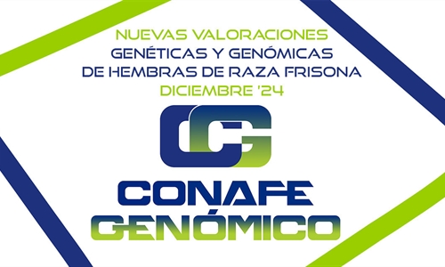 Nuevas Valoraciones Genticas y Genmicas de  Hembras de Raza Frisona...