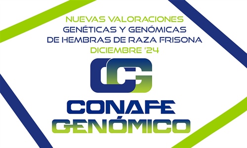 Nuevas Valoraciones Genticas y Genmicas de  Hembras de Raza Frisona...