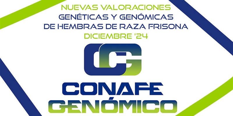 Nuevas Valoraciones Genticas y Genmicas de  Hembras de Raza Frisona Diciembre 2024