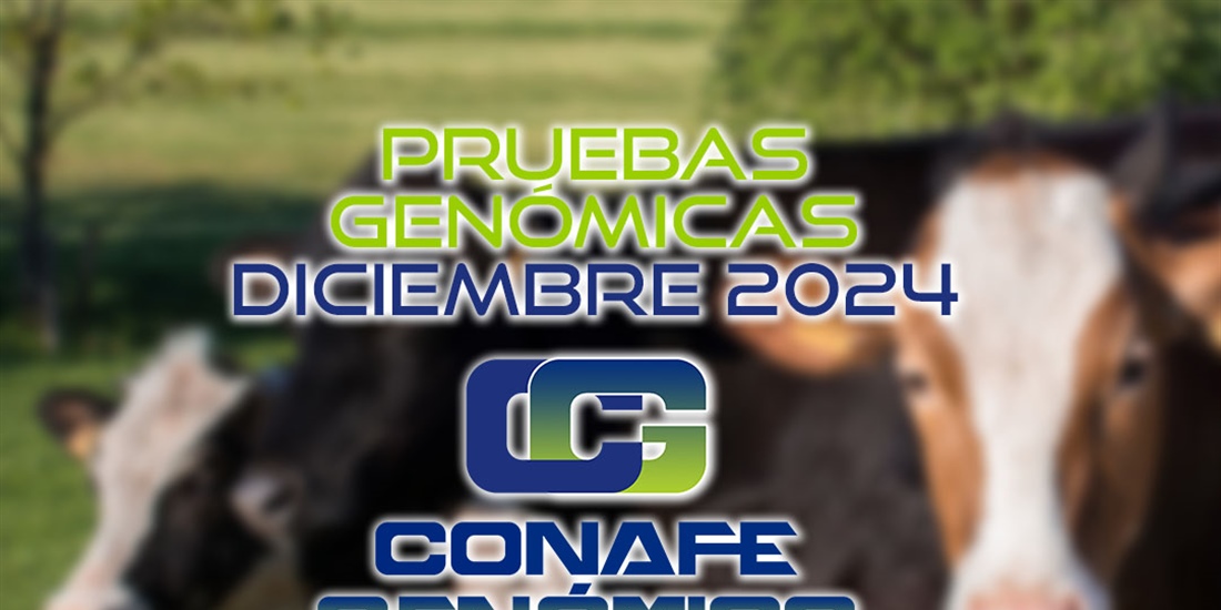 Actualizacin de las pruebas genmicas de Hembras CONAFE Diciembre 2024